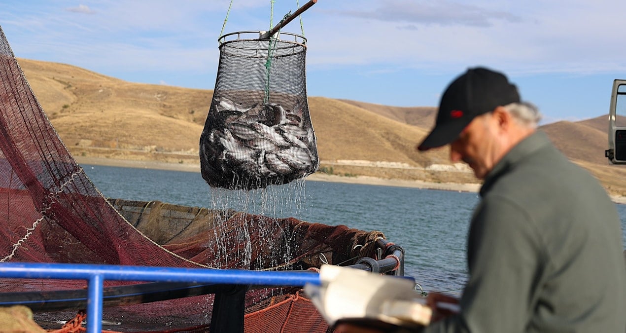 bayburtta hasadi basladi tonlarca urun rusya yolunda G6LUOngu