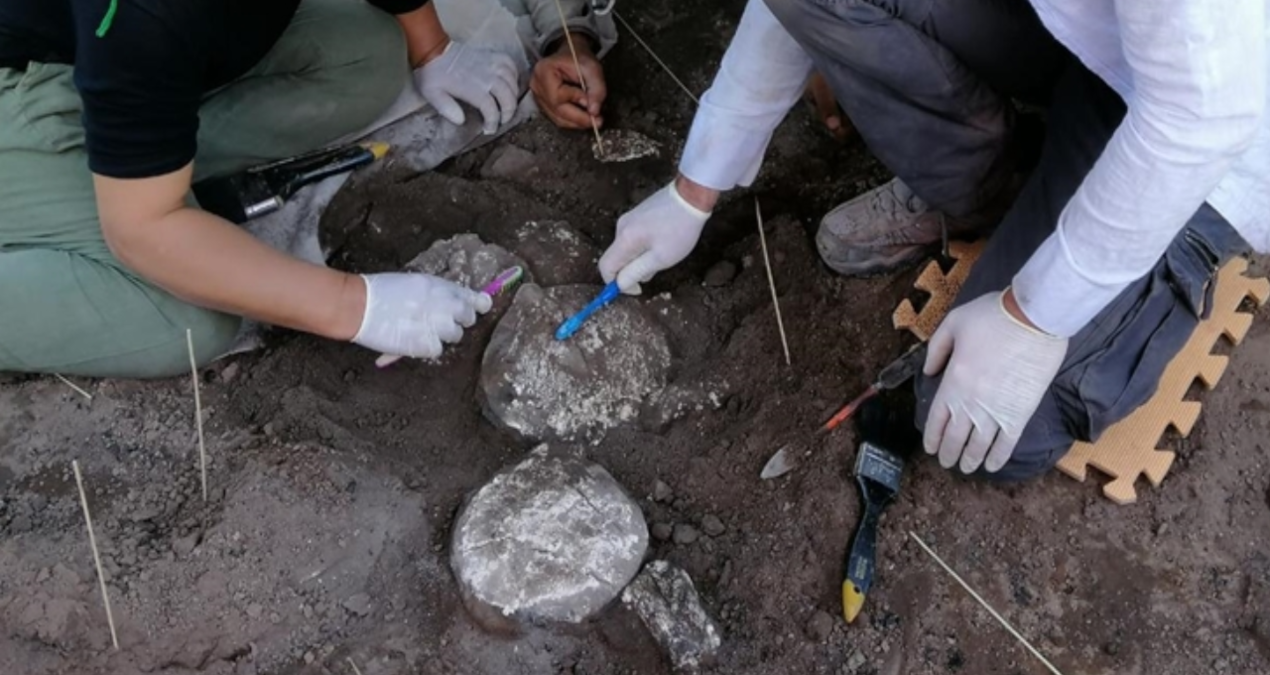 erzurumda kazi yapilan alanda insan kemikleri bulundu XHpLxS9r