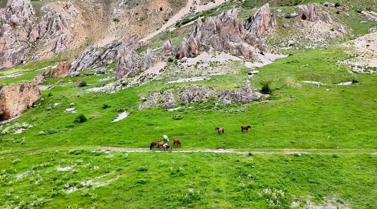 munzur daglarinda yilki atlari CRf3ABVU