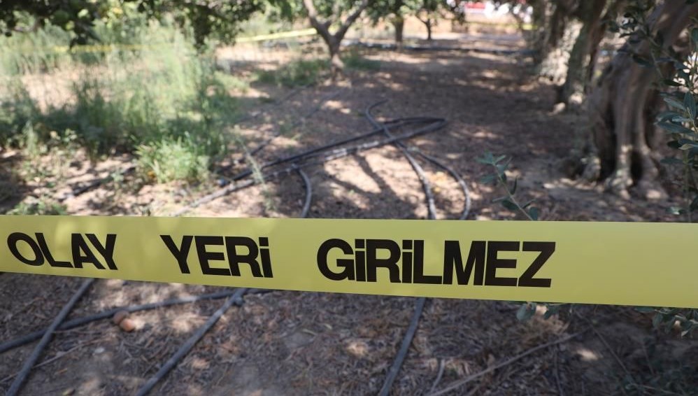 Narenciye bahçesinde satırlı dehşet