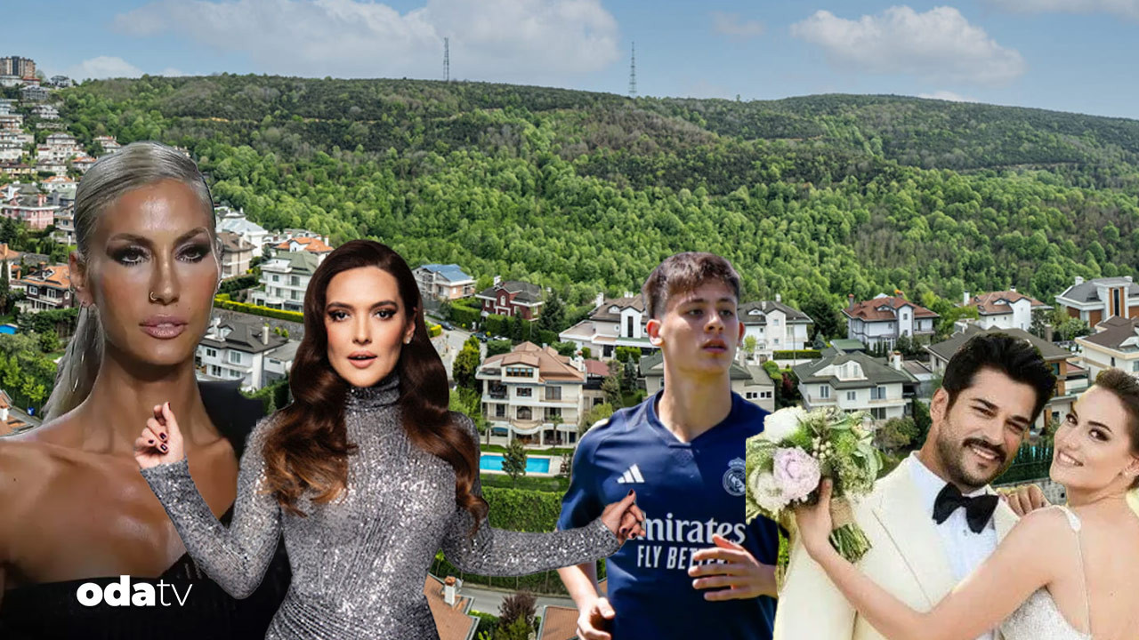 Sosyetik sitede fare paniği: Acarkent alarma geçti