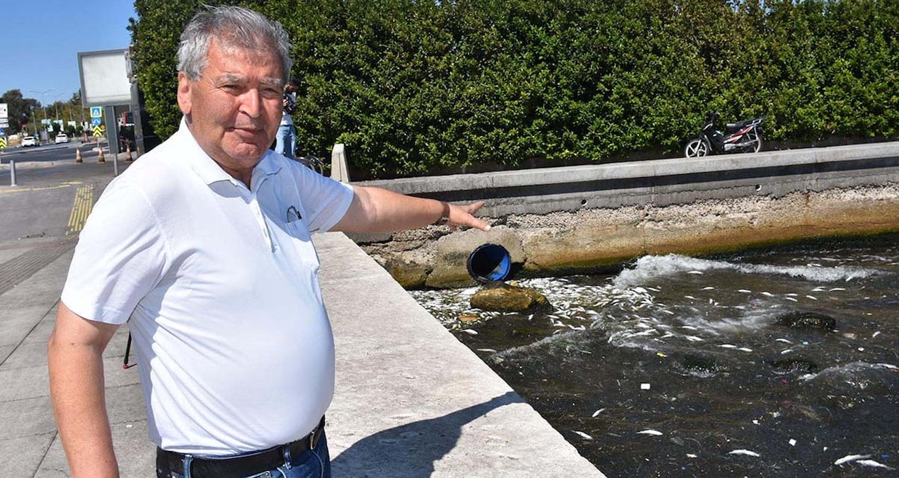 tedirgin eden goruntu buralarda sakin balik tuketmeyin YlkH1rOa