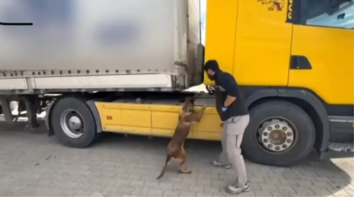 Tosya’da Tırda Metamfetamin ve Silah Ele Geçirildi