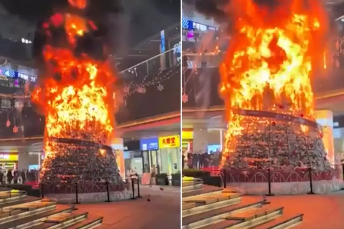 “Müslümanlar Noel ağacını ateşe verdi” dendi, gerçek çok başka çıktı