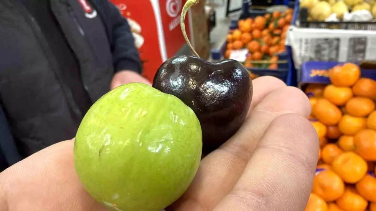 Düzce’de Kışın Yaz Meyveleri Satışı!