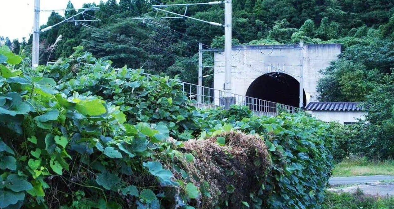 Seikan Tüneli: 24 Yıl Süren Çalışmaların Ardından Tamamlandı